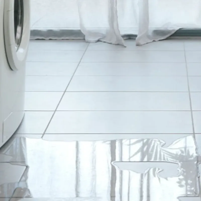 Appliance Leak Cleanup in Carson City, MI
