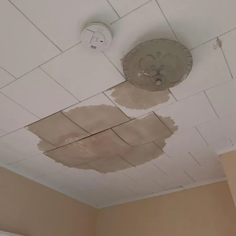 Ceiling Water Damage Repair in Carson City, MI