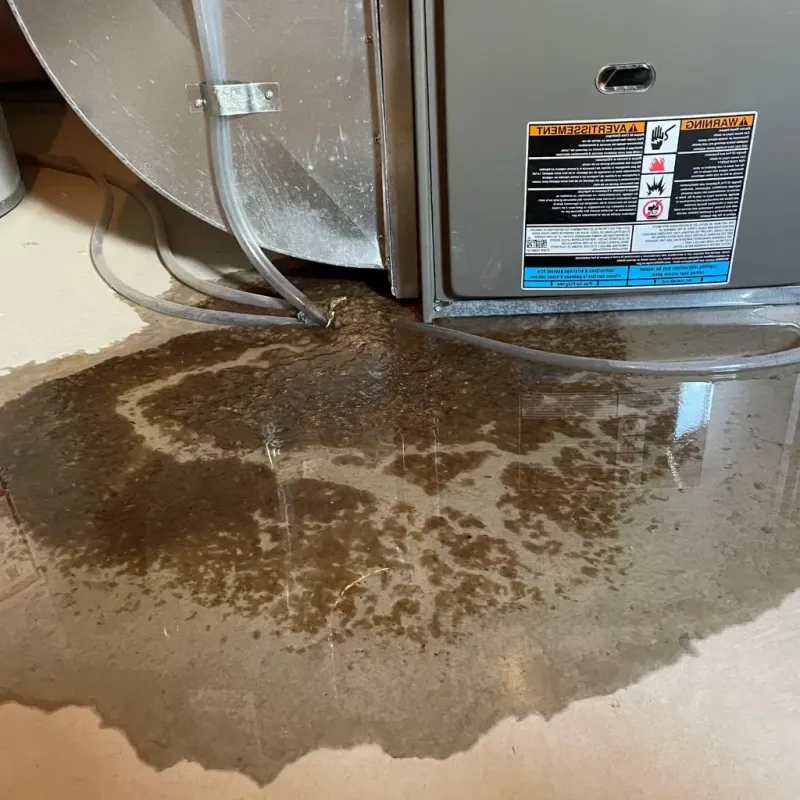 Pipe Burst and Leak Restoration in Carson City, MI