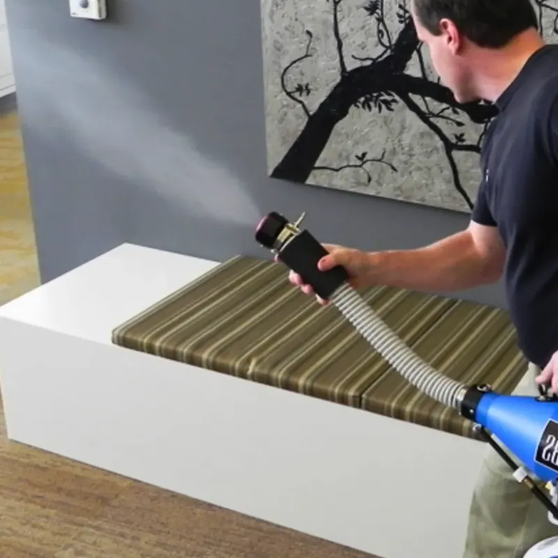 Professional Odor Removal in Carson City, MI