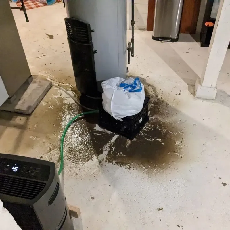 Sewage Backup Cleanup Service in Carson City, MI